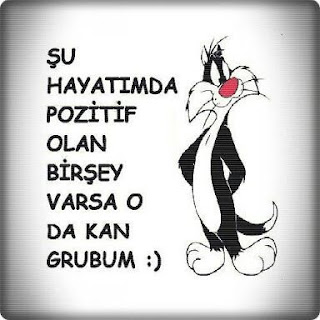 Facebook beğendirme programı indir