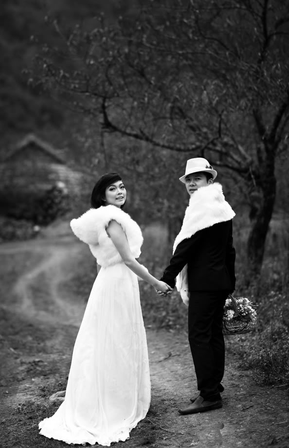 How to get facebook page likes free