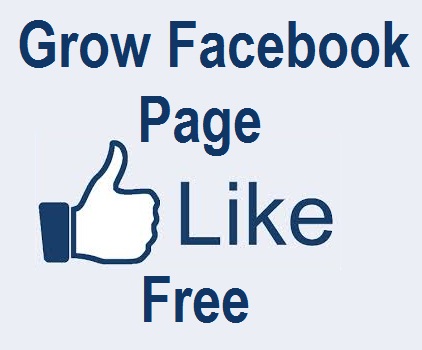 How to get more likes on fb business page