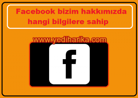 Facebook'un en iyi oyunu 2013