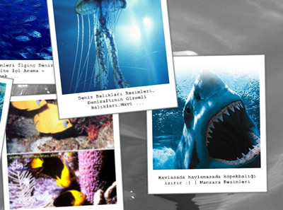 Instagram takipçi hilesi beğeni servisim