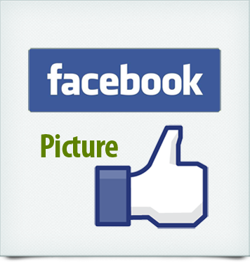 Facebook feed on website example