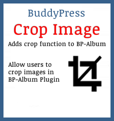 Facebook album plugin for website