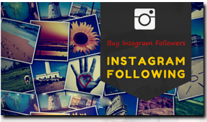 Gain instagram followers with no survey
