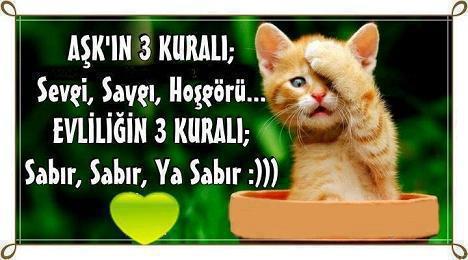 Facebookta beğenilen sözler Facebookta paylaşılan aşk sözleri