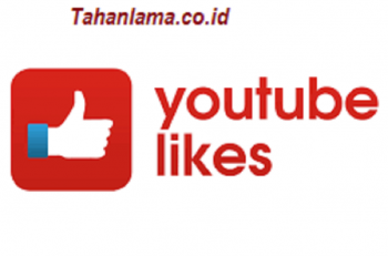 When do youtube views get updated